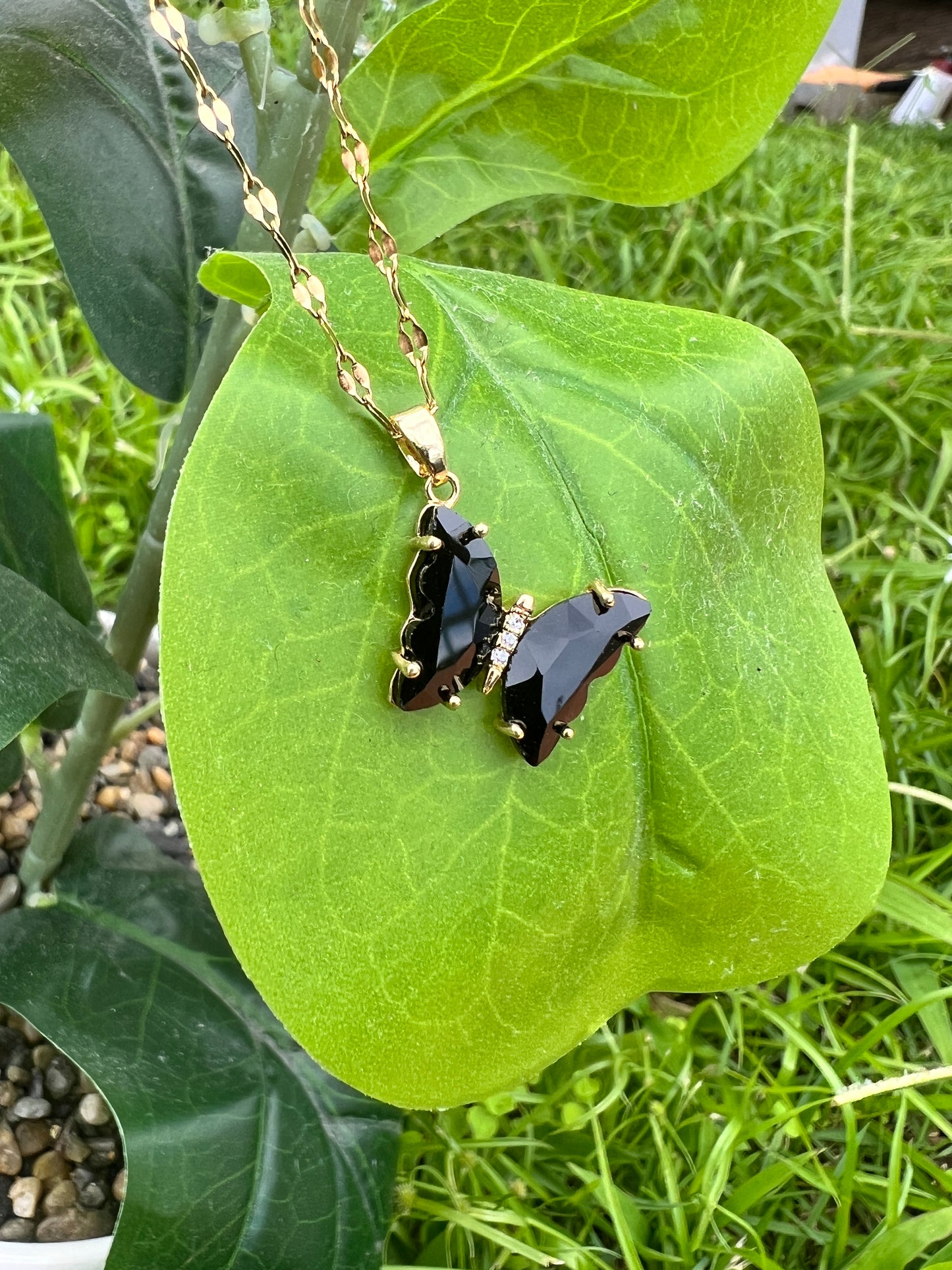 BLACK BUTTERFLY